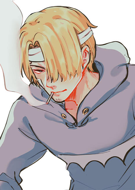 Sanji Doodle